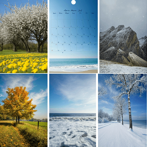 Seasonal Splendor